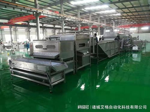 鹌鹑蛋剥壳机厂家实力推荐 从技术革新到服务保障的全维度解析